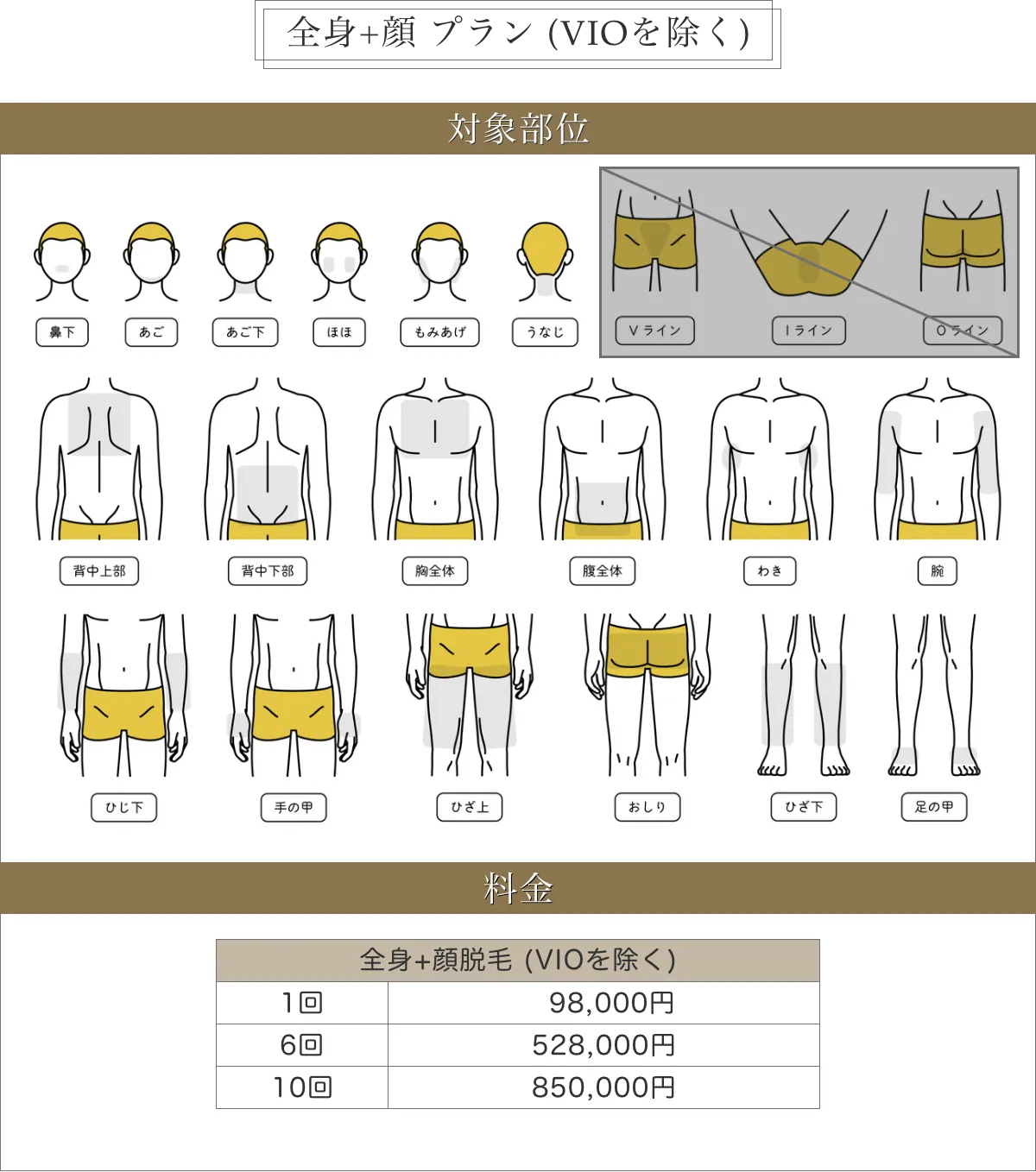全身+顔プラン料金表