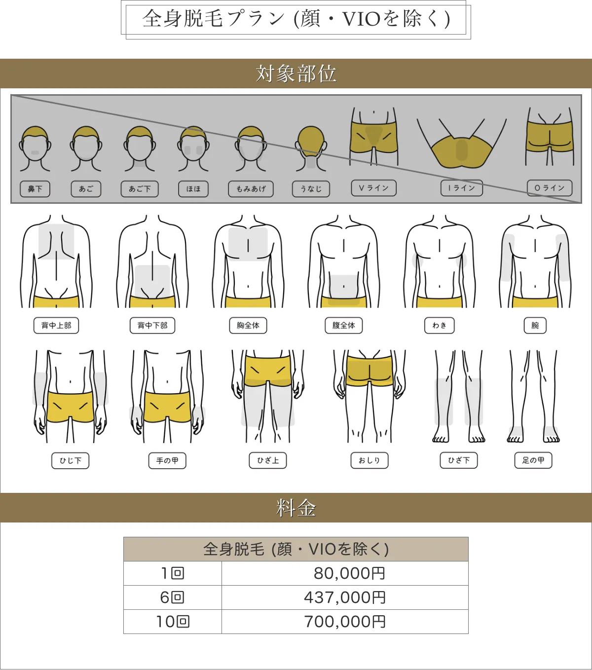 全身脱毛プラン料金表