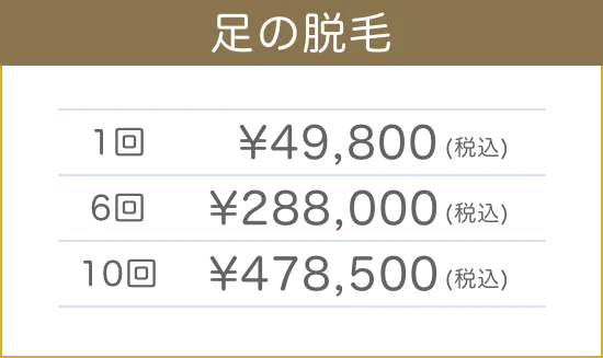 脚の脱毛料金表